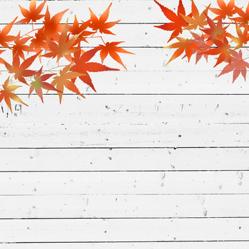 10 Best 和風紅葉 Images Stock Photos Vectors Adobe Stock 10 Best 和風紅葉 Images Stock Photos Vectors Adobe Stock