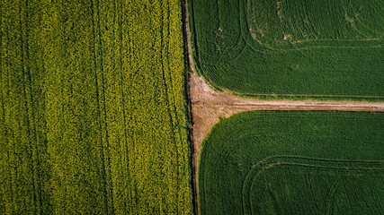 Aerial images over the canola and wheat fields in the Swartland of south africa