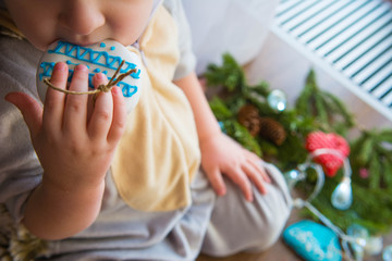 Obraz premium A boy is eating a gingerbread