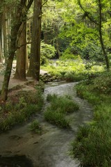 湧水が豊富な阿蘇の池上水源