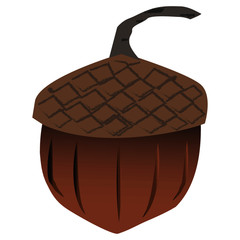 Acorn