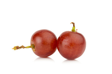 grapes seedless red single isolated on white background