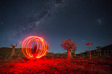 Wide angle astro photography photo with the blazing milky way over the Quiver tree forest in...