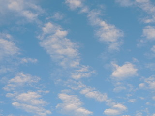 Fototapeta premium brać