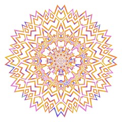 Modern floral vector ornaments. Decorative flower mandala. vector illustration.