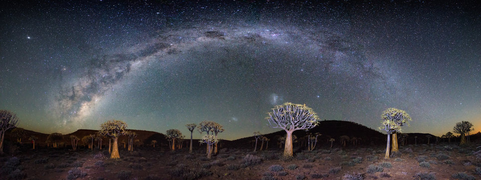 Wide angle astro photography photo with the blazing milky way over the Quiver tree forest in Nieuwoudtville in the Northern Cape of South Africa