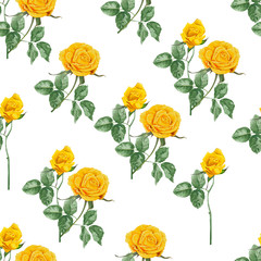 Yellow roses seamless pattern on white background