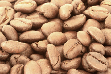 Coffee Beans isolated on white background area for copy space.