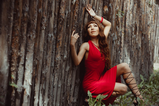 Girl In A Dress At A Wooden Fence