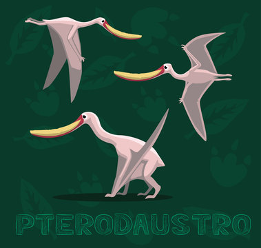 Dinosaur Pterodaustro Cartoon Vector Illustration