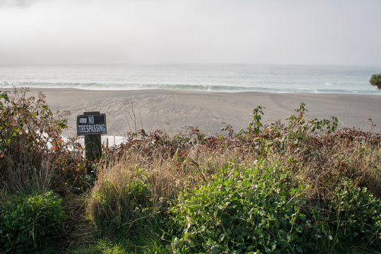 bodega bay california  beach