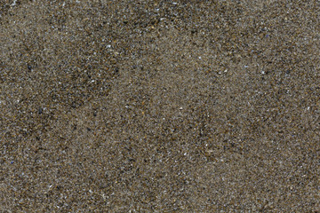 Rough sand texture, closeup. Ocean sand.