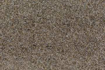 Close up ocean sand texture. Large sand grain.