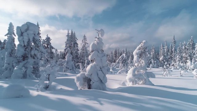 Aerial flight in winter wonderland, Northern Sweden in 4k.