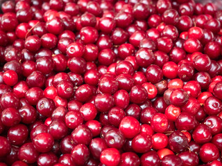 Red ripe cherry close up. View on pile of red cherry. Heap of red berries closeup. Ripe cherry piled on the ground. Blurred background. Soft selective focus
