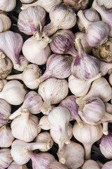 Pile of garlic.