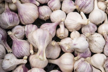 Pile of garlic.