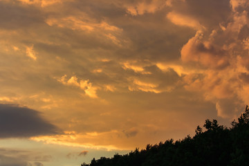 Sunset sky with trees silhouette, Czech landscape