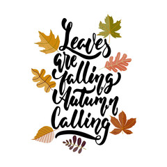 Leaves are falling Autumn calling - hand drawn cozy Fall seasons lettering phrase and leaves doodles isolated on the white background. Fun ink vector illustration for banners, cards, posters design.