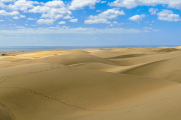 Fototapeta na wymiar Hot desert. Sand dunes of Maspalomas