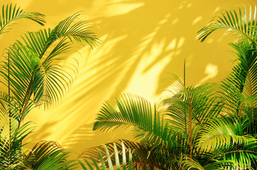 Fototapeta na wymiar Bright yellow painted wall framed with green tropical palm leaves, sunlight with shadows patterns, summer background. 