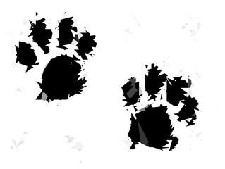 abstraction disappearance extinction of domestic animals, traces of pets