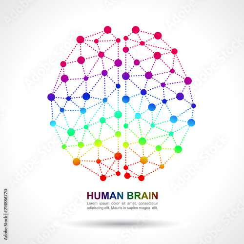 Image result for brain social network