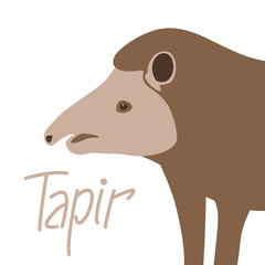 animal tapir vector illustration  flat style  profile