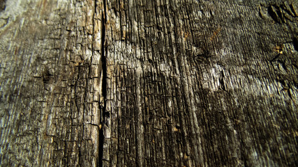 Obraz premium Wooden texture. Abstract old crack wooden board background. Cracked tree