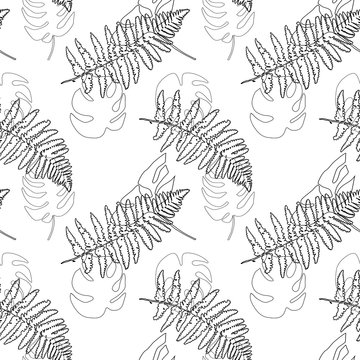 Vector botanical seamless pattern with  hand drawn palm monstera and fern leaves.