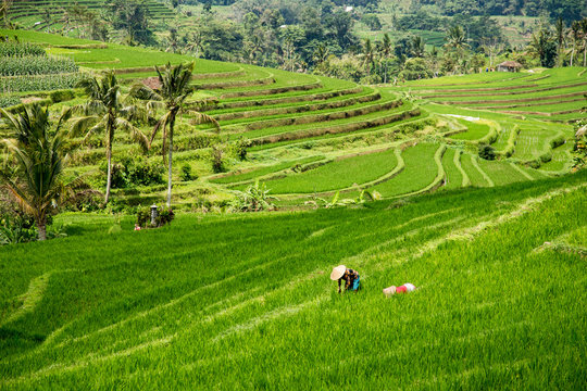 Sawa Bilder Durchsuchen 659 Archivfotos, und Videos