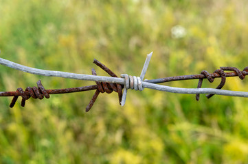 close-up. barbed wire in front of a green grass
