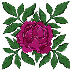 A flower of a peony. Vector image.
