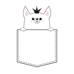 Corgi princess crown dog happy face head icon in the pocket. Holding hands paw. Cute cartoon pooch character. Contour silhouette. Kawaii animal. Funny baby puppy. Love Flat design. White background
