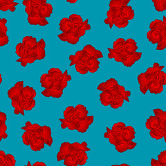 Red Carnation Flower on Blue Background