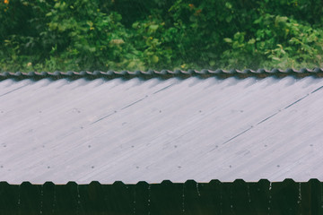 raindrops on the metal roof on a summer day