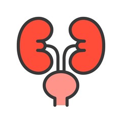 kidney and urinary bladder, simple filled outline icon
