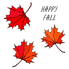 Maple Leaves. Canadian Day Symbol. Autumn or Fall Harvest Collection. Realistic Hand Drawn High Quality Vector Illustration. Doodle Style.
