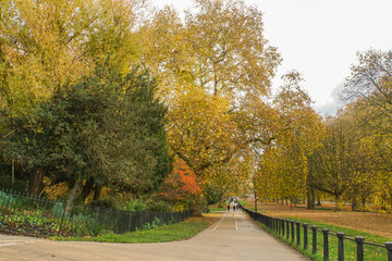 Fototapeta na wymiar concrete path along the tree in public park in autumn