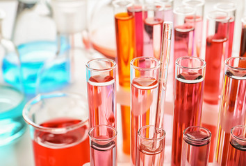 Test tubes with colorful samples in laboratory, closeup