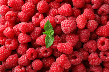 Fresh ripe raspberries with mint leaves as background