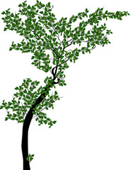 young green isolated tree illustration