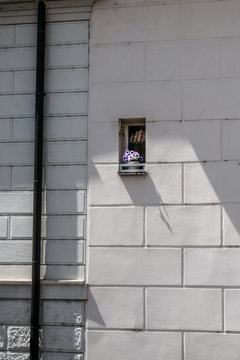 Fen&ecirc;tre et fleurs isol&eacute;es