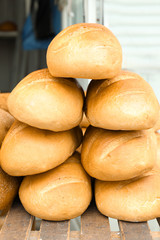 Tasty bread on shelf in bakery