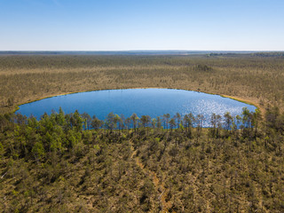 Aerial view of forest lake