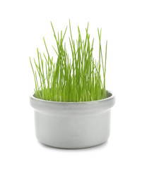 Pot with sprouted wheat grass on white background