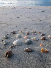 Seychelles on the sandy beach  travel concept 