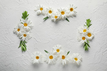 Obraz premium Frame made of beautiful camomile flowers on white background