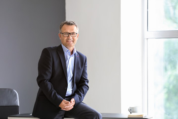 Portrait of mature businessman in office