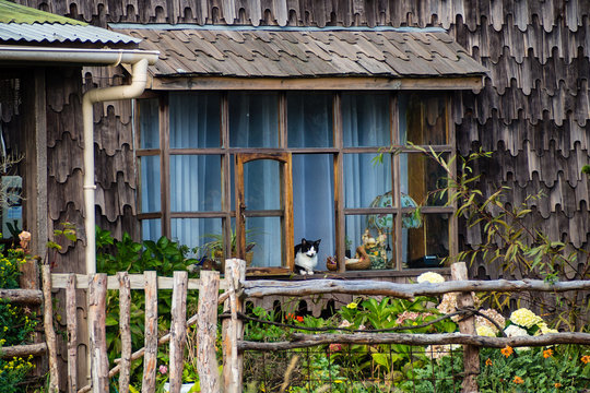 Cat in a window in a typical house in Chilo&eacute; island, Chile